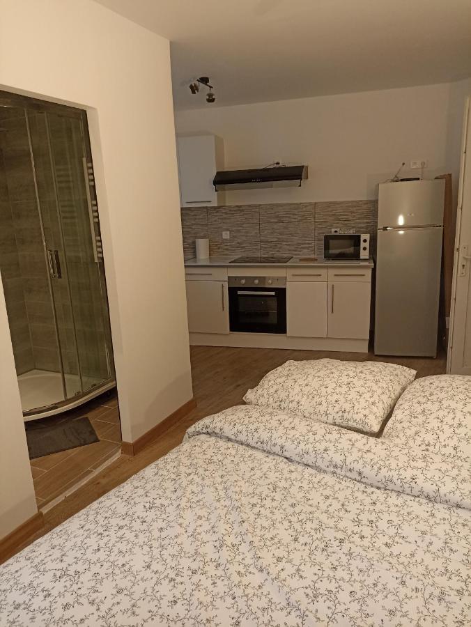 Studio Beau Rivage Ax Les Thermes Apartment Акс-ле-Терм Екстериор снимка